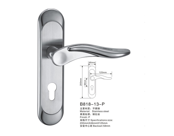 B818-13-P