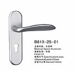 B810-25-01
